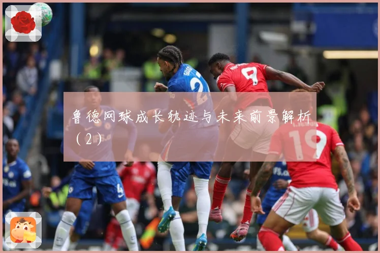 鲁德网球成长轨迹与未来前景解析（2）